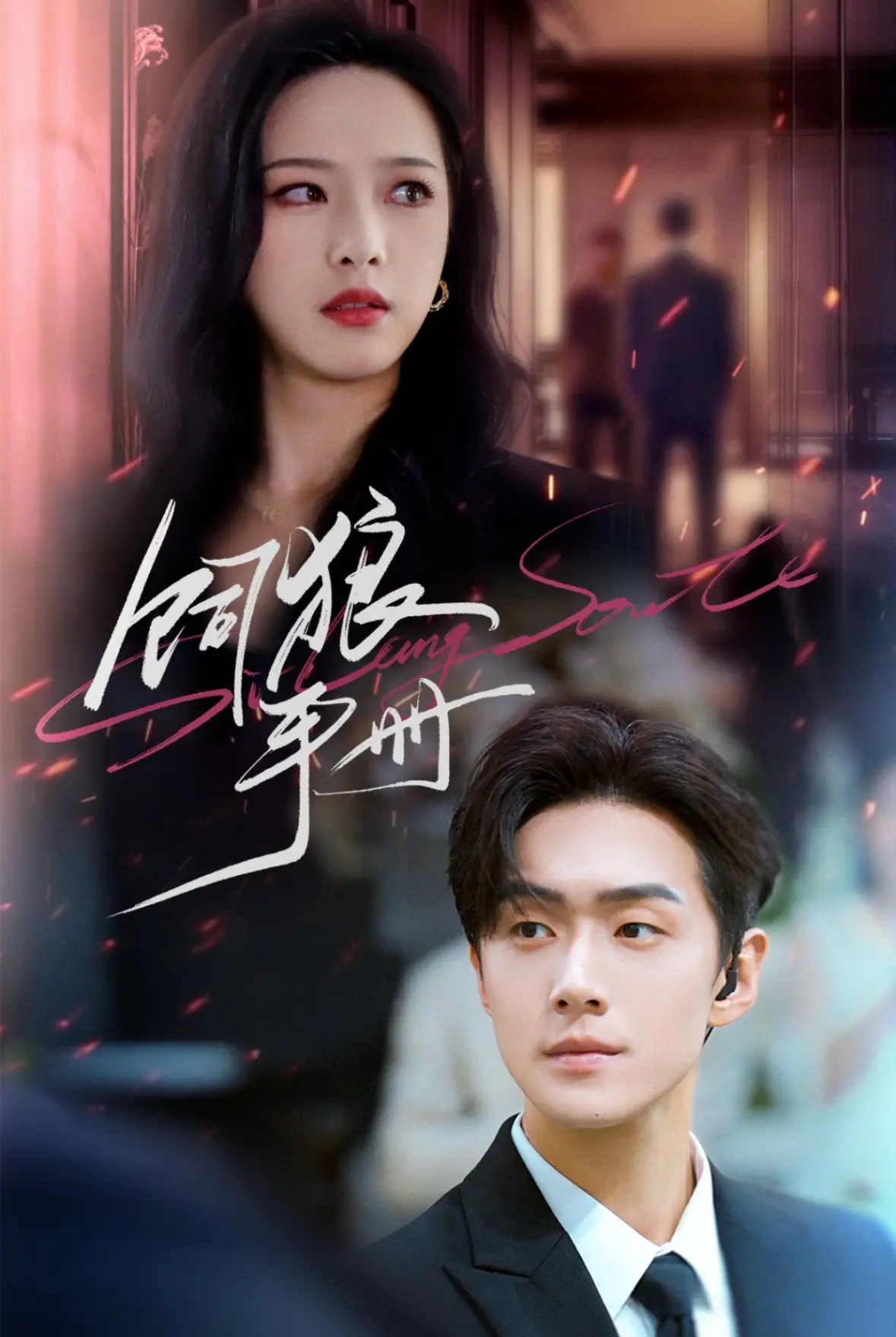 《饲狼手册》：都市丛林生存法则，爱情狩猎还是真心交付？狼性男友养成记！