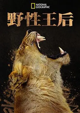 《野性王后》：权利、欲望与复仇的史诗，一场属于女性的战争！