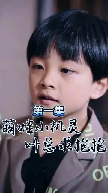 萌宝的搞笑历险与温馨亲情：《萌宝小机灵，叶总求抱抱》让你笑中带泪